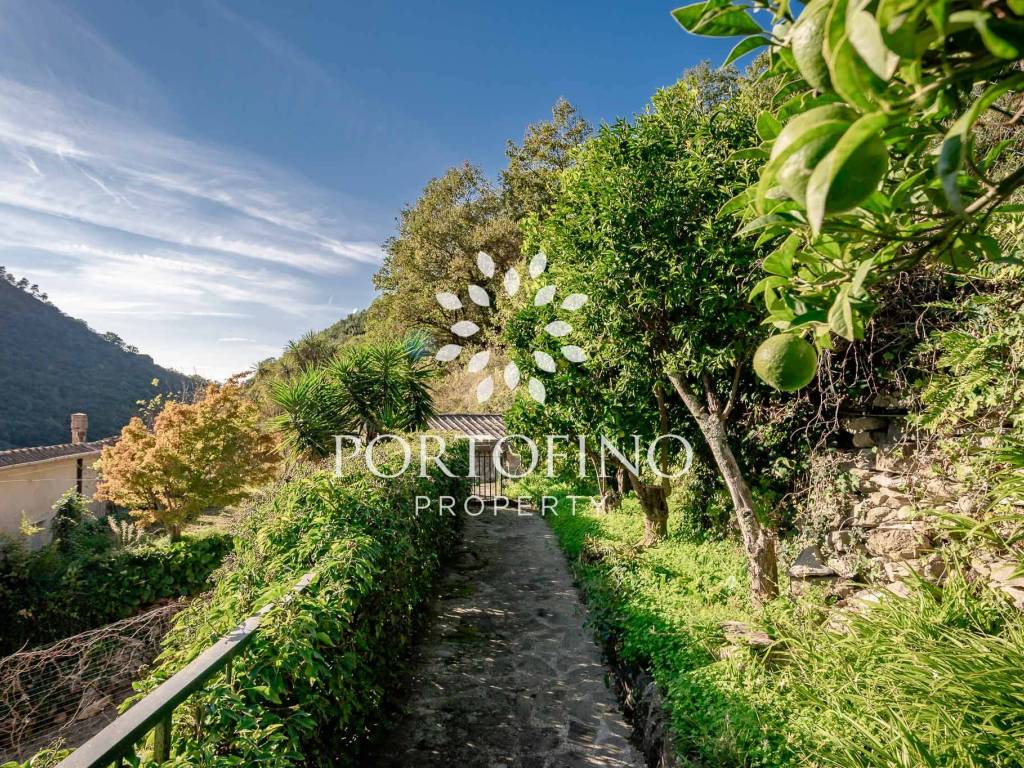 Attico / mansarda a Vernazza in Vernazzola - Foto 3