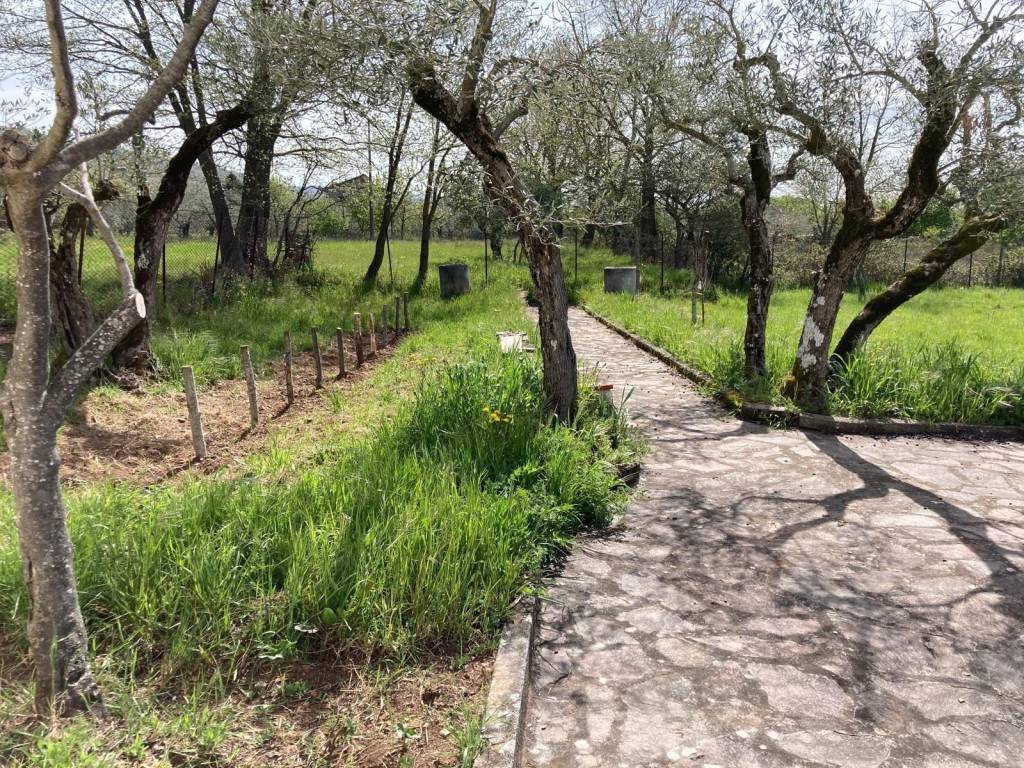 Casa indipendente a Viggiano in Contrada San Giovanni - Foto 5