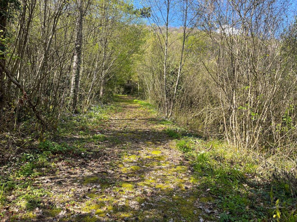 Rustico / casale a Alvito in Via Fossitelle - Foto 4