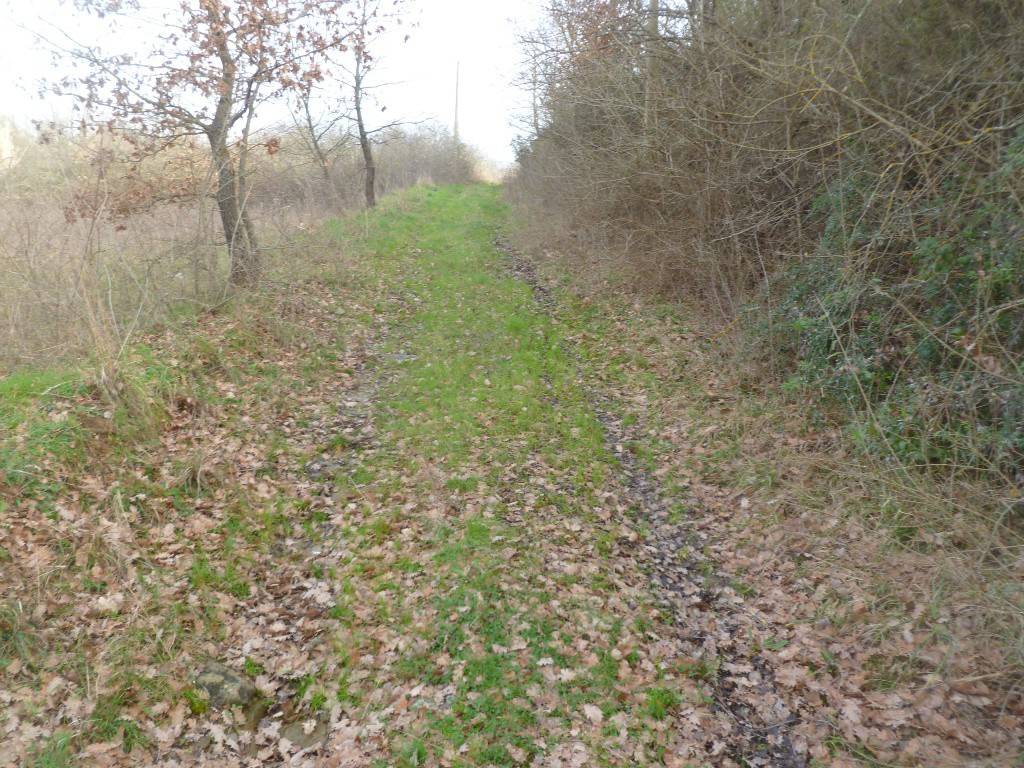 Rustico / casale a Città della pieve - Foto 3