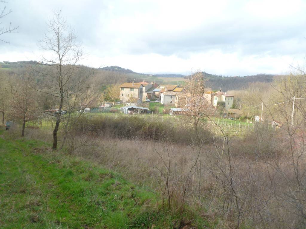 Rustico / casale a Città della pieve - Foto 5