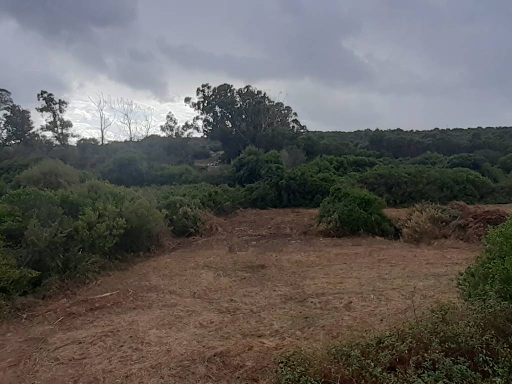Terreno a Arzachena - Foto 3