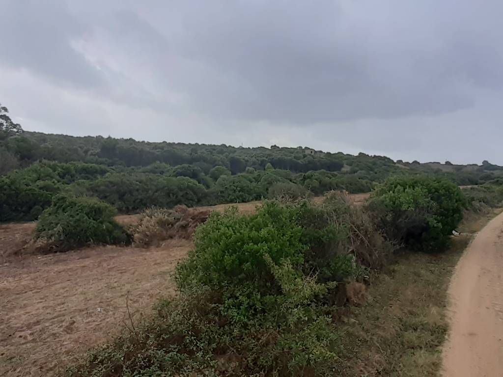 Terreno a Arzachena - Foto 4