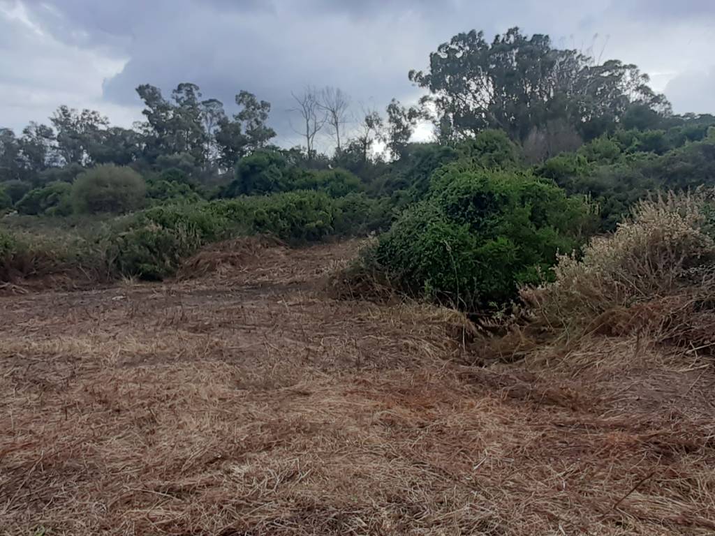 Terreno a Arzachena - Foto 5