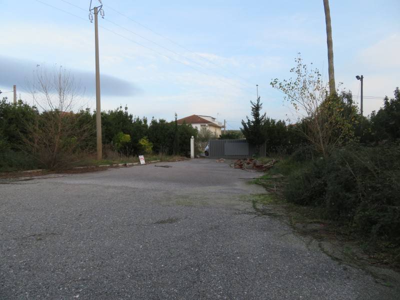 Immobile a Lamezia terme in Viale San Bruno - Foto 3