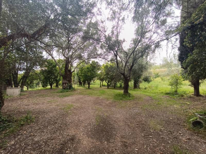 Terreno a Lamezia terme in Via Generale Carlo Alberto Dalla Chiesa - Foto 2