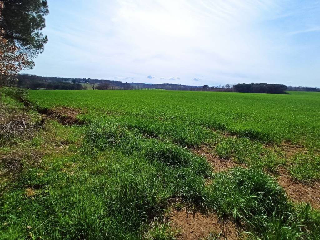 Terreno a Castiglione del lago in Via della Libertà - Foto 5