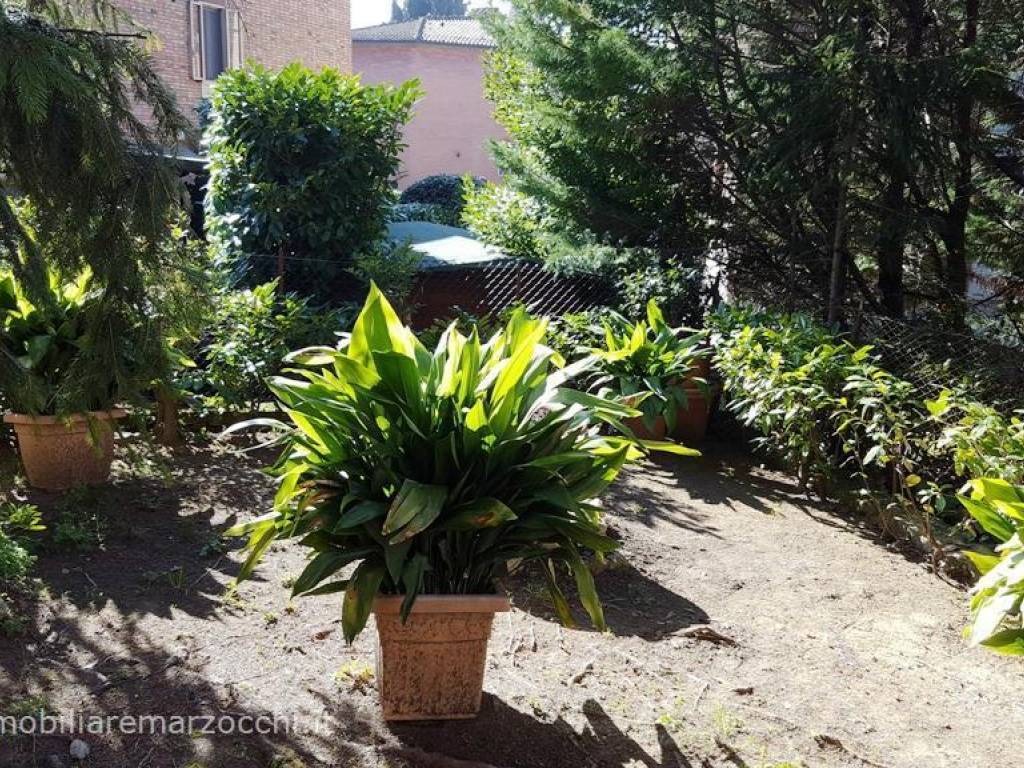 Appartamento a Siena in Via di Colledoro, 5b - Foto 5