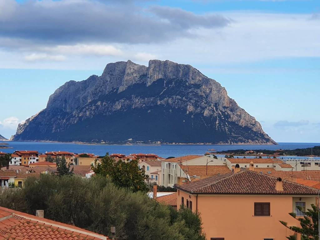 Villa a Loiri porto san paolo in Via Donatello - Foto 2