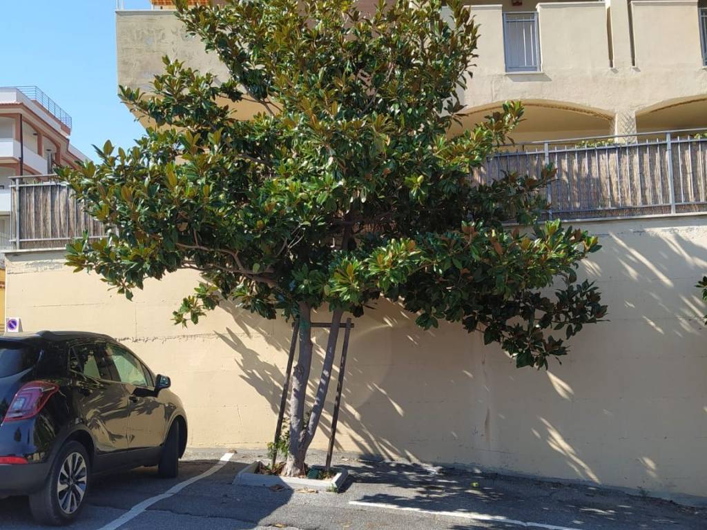 Appartamento a Santa marinella in Via delle Azalee - Foto 3