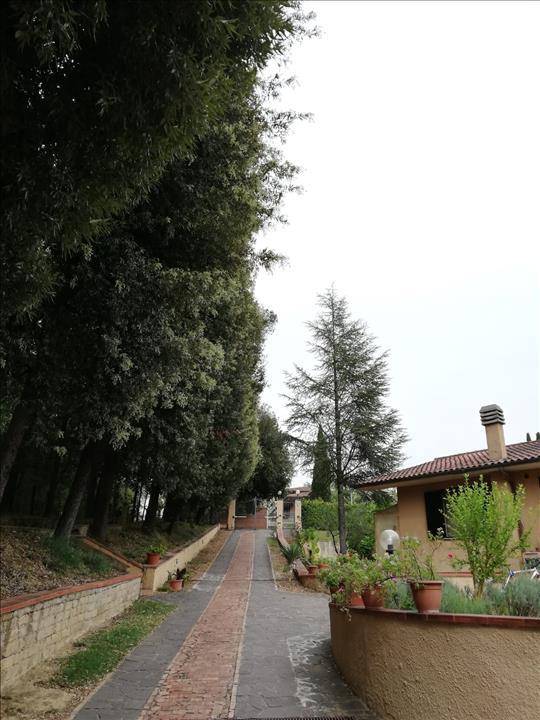 Villa a Sovicille in Via Europa - Foto 4