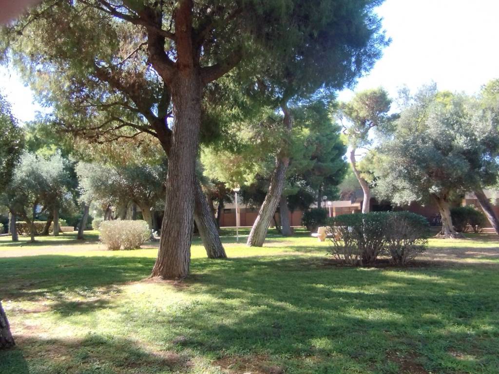 Appartamento a Noicattaro in Via delle Mimose - Foto 2