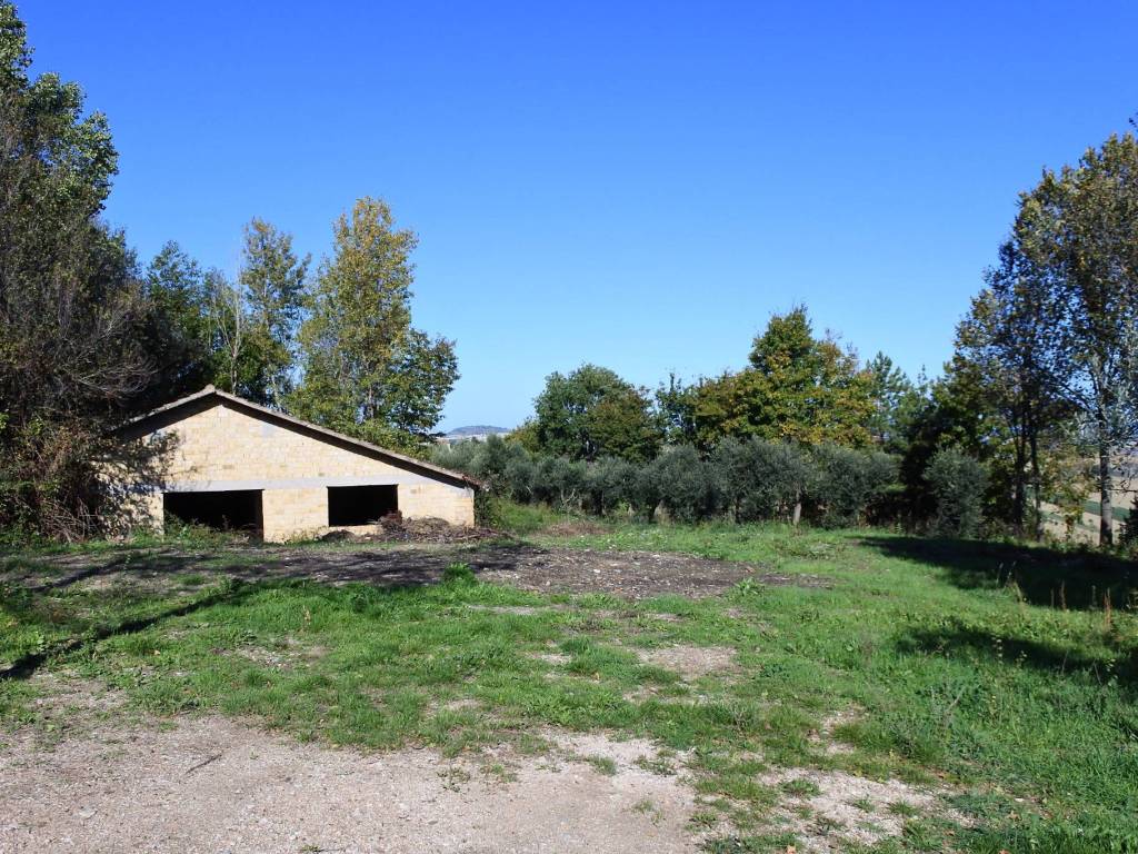 Rustico / casale a Monterubbiano in Contrada Collina - Foto 2