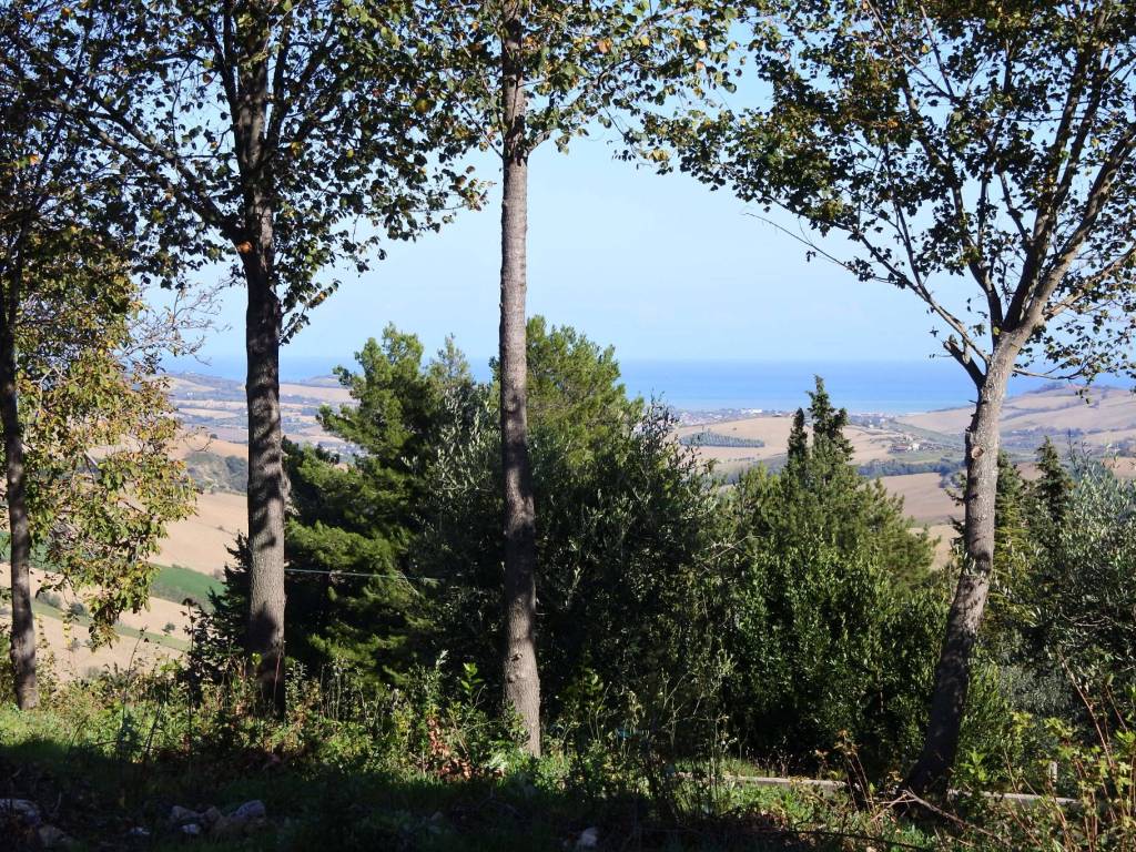 Rustico / casale a Monterubbiano in Contrada Collina - Foto 3