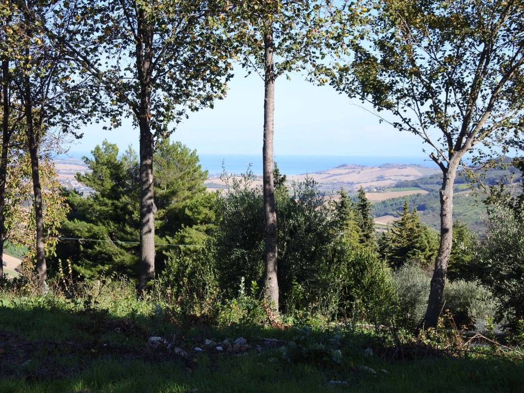 Rustico / casale a Monterubbiano in Contrada Collina - Foto 4