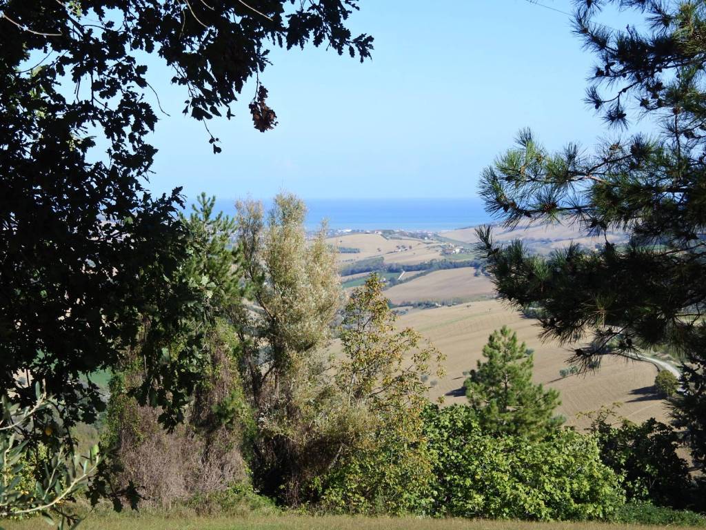 Rustico / casale a Monterubbiano in Contrada Collina - Foto 5