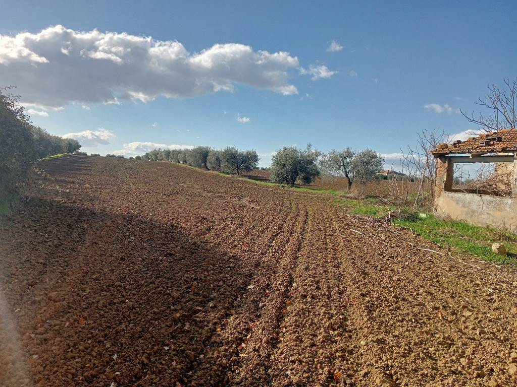 Rustico / casale a Cortona in Centoia - Foto 5