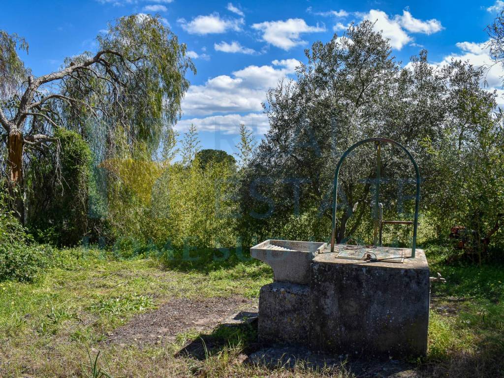 Rustico / casale a Noto in Via Tommaso Fazello, 228 - Foto 4