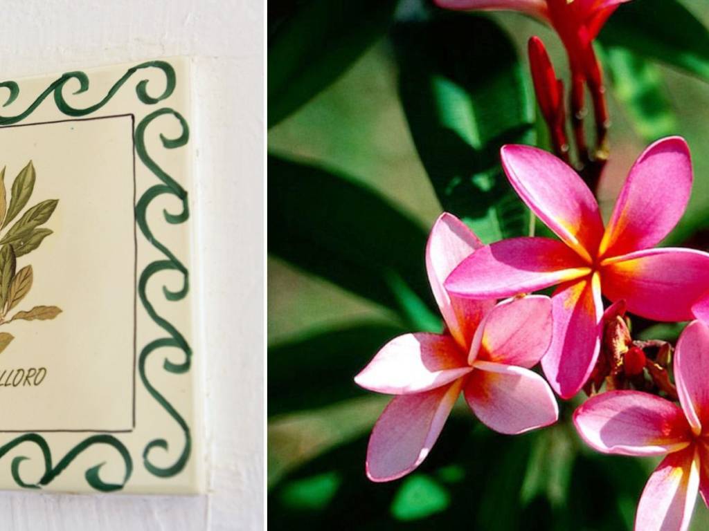 Villa a San vito dei normanni in SP48 - Foto 3