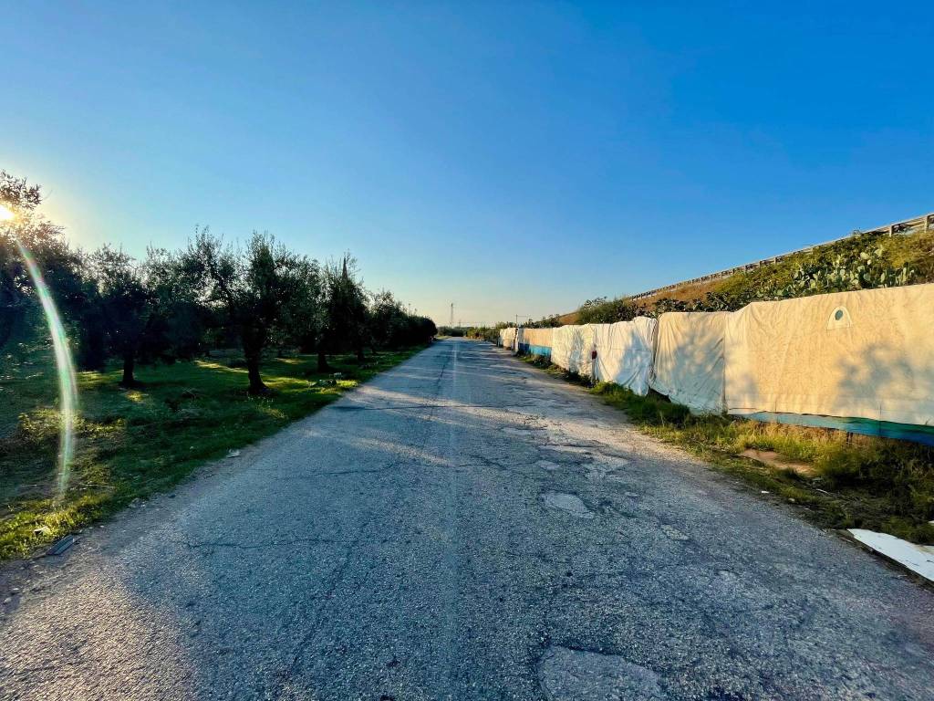 Terreno a Barletta - Foto 4
