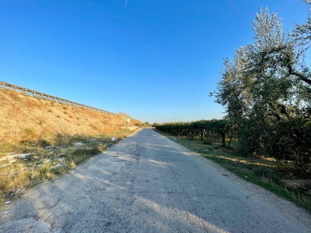 Terreno a Barletta - Foto 5