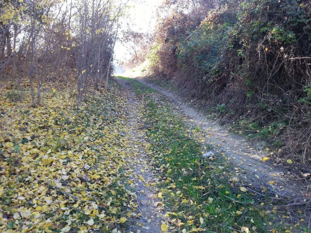 Rustico / casale a Appignano del tronto in Appignano, 1 - Foto 3