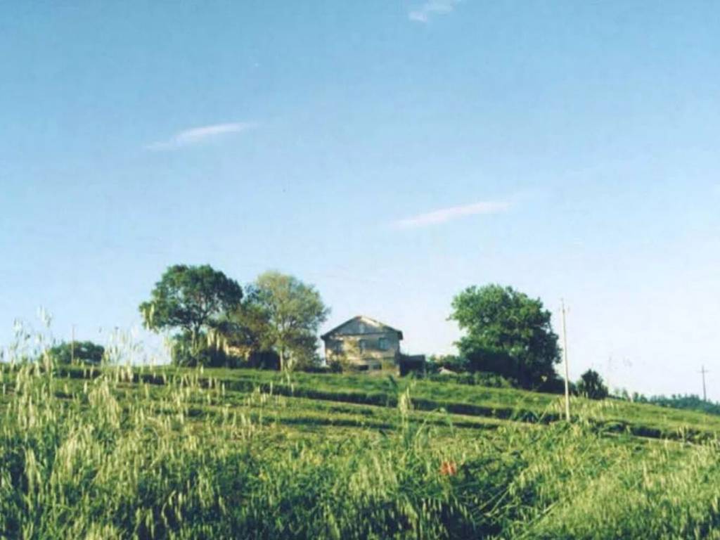 Rustico / casale a Rotella in Contrada Rovetino S.N.C. - Foto 5