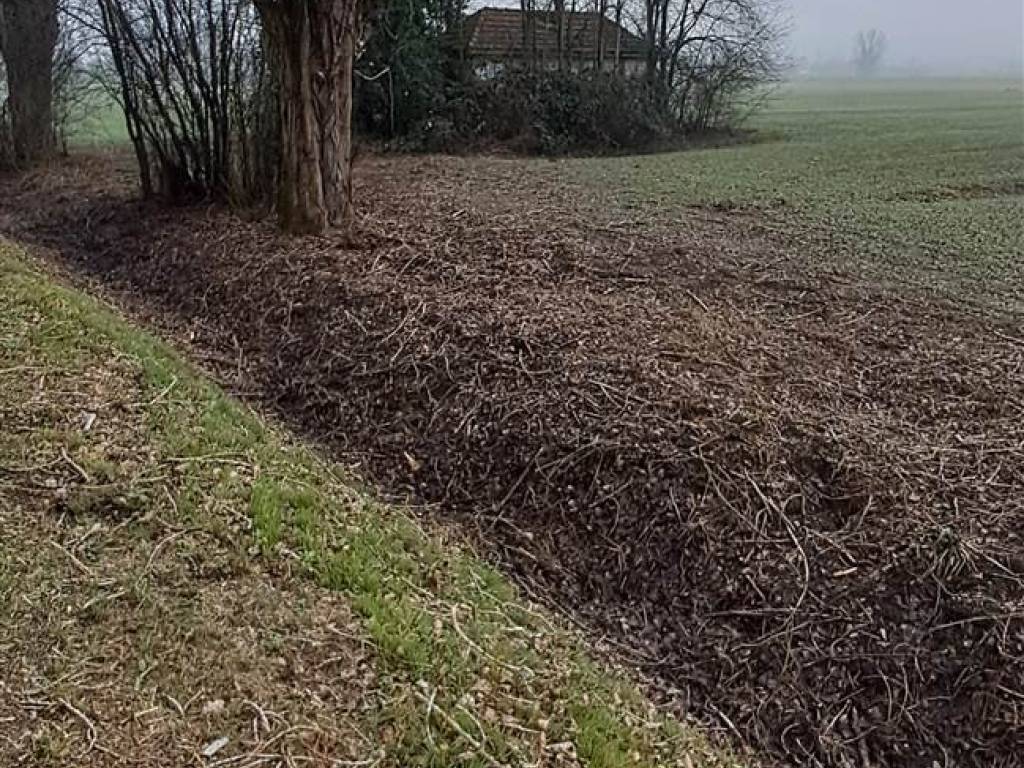Terreno a Mirandola - Foto 2