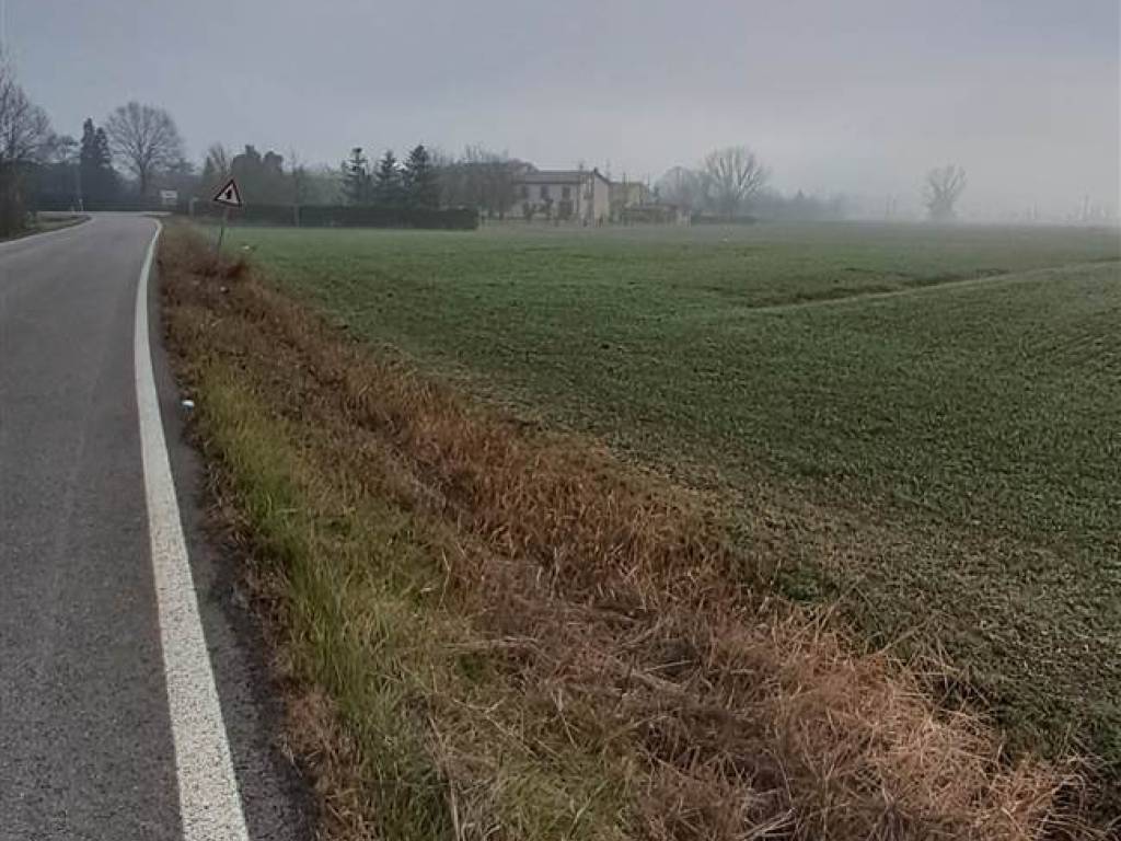 Terreno a Mirandola - Foto 3