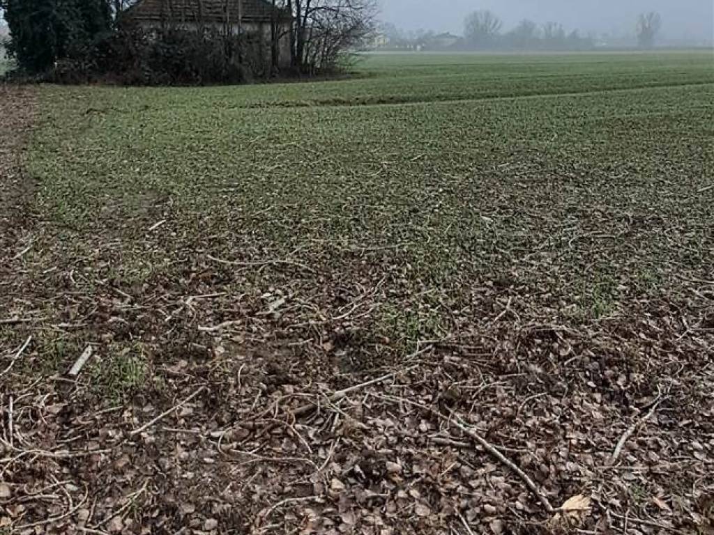Terreno a Mirandola - Foto 5