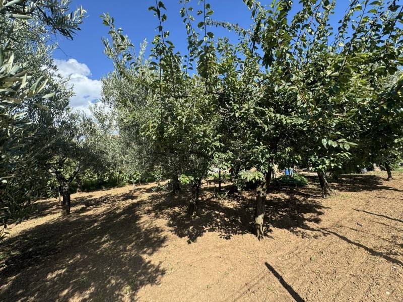 Terreno a Lamezia terme in Via degli Enotri - Foto 4
