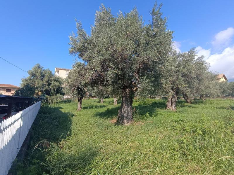 Terreno a Lamezia terme in Via dei Morgeti - Foto 5