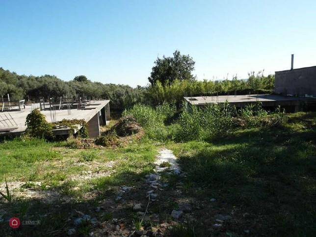 Terreno a Cepagatti - Foto 4