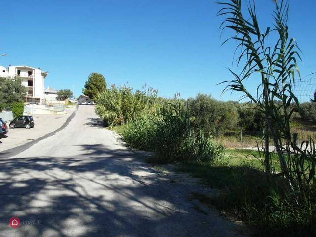 Terreno a Cepagatti - Foto 5