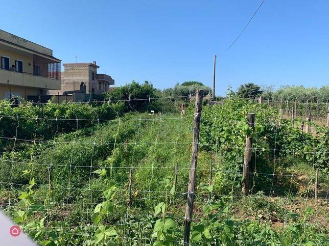 Terreno a Mondragone in Via Padule 93 - Foto 2