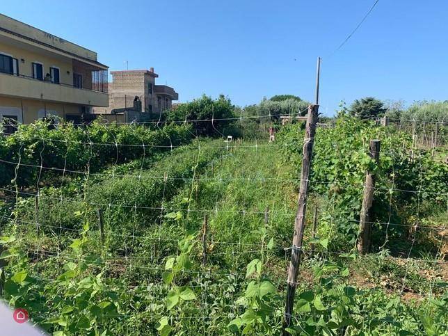 Terreno a Mondragone in Via Padule 93 - Foto 3