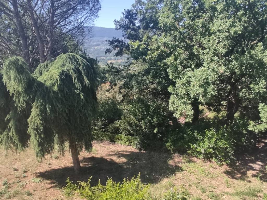 Villa a Sant'agata de' goti in Piazza Trieste - Foto 2