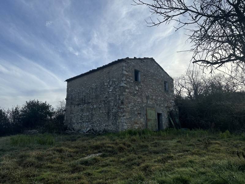 Rustico / casale a Gavorrano - Foto 2