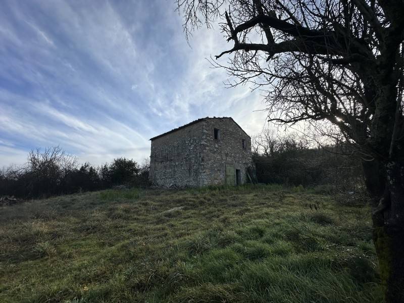 Rustico / casale a Gavorrano - Foto 3