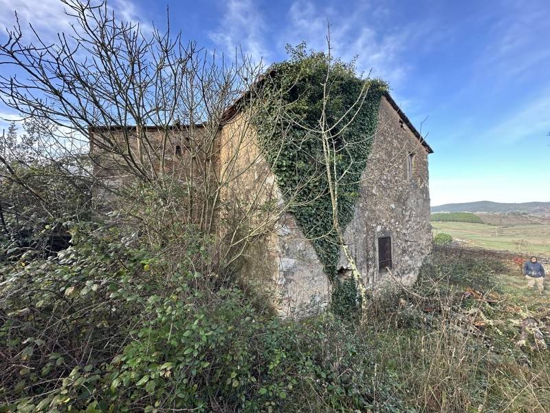Rustico / casale a Gavorrano - Foto 4