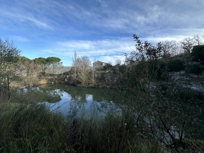 Rustico / casale a Gavorrano - Foto 5