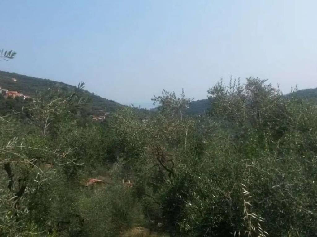 Terreno a Diano san pietro - Foto 3