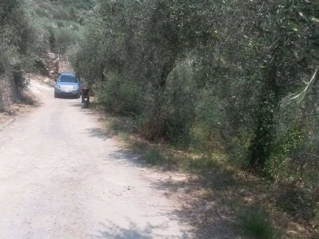 Terreno a Diano san pietro - Foto 5