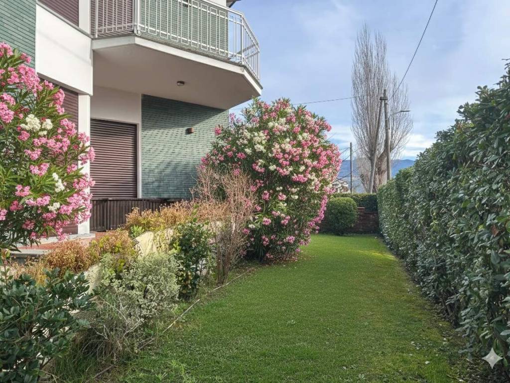 Villa a Pietrasanta - Foto 5