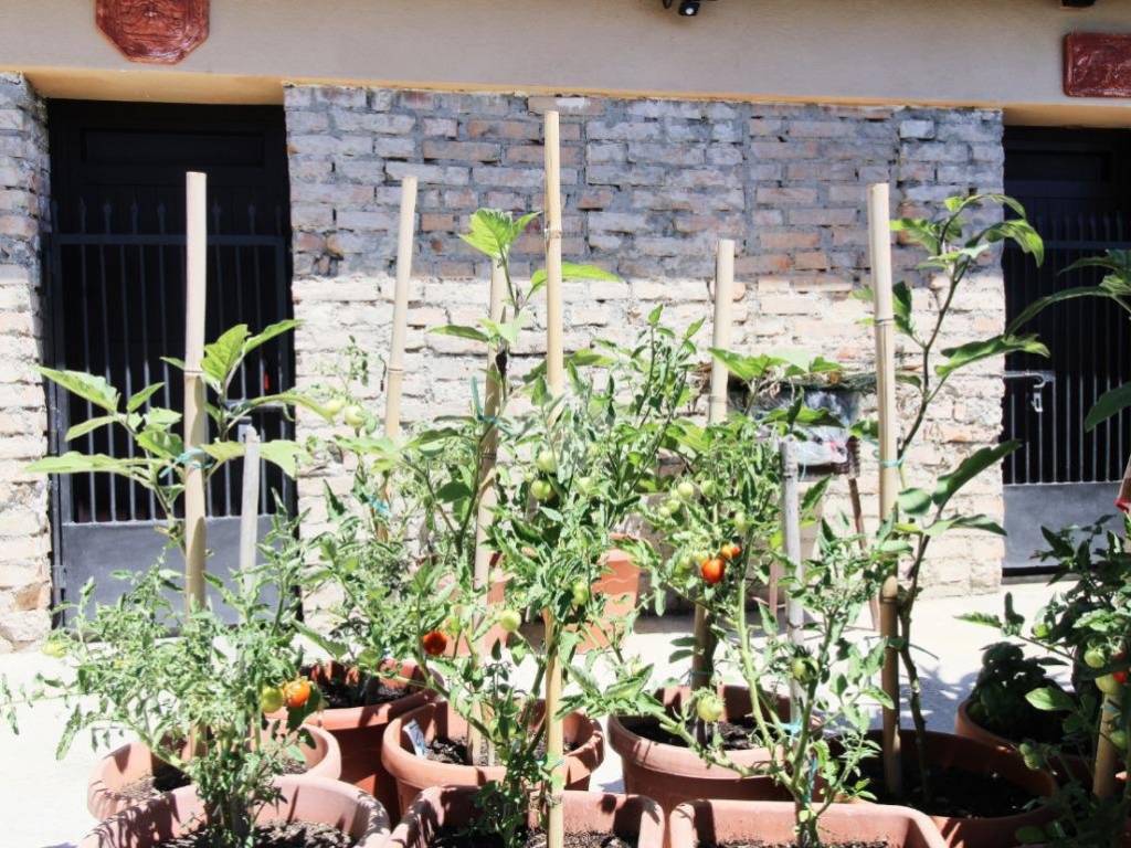Casa indipendente a Cropani in Contrada vignella - Foto 5