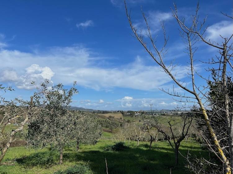 Terreno a Rosignano marittimo in Località Pianacce - Foto 2