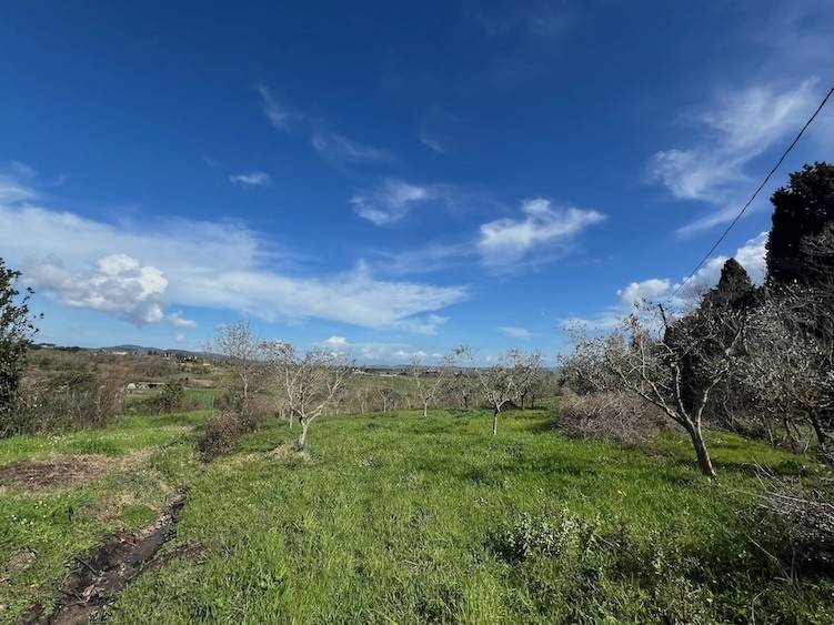 Terreno a Rosignano marittimo in Località Pianacce - Foto 3