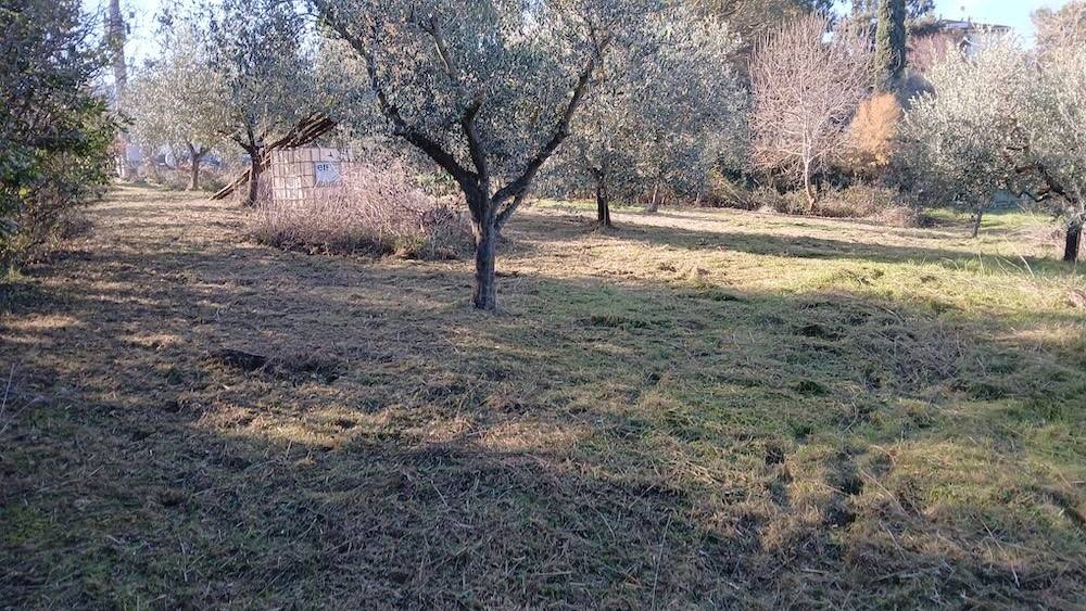 Terreno a Rosignano marittimo in Località Pianacce - Foto 4
