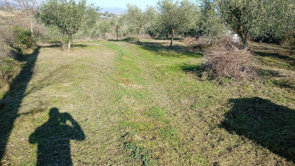 Terreno a Rosignano marittimo in Località Pianacce - Foto 5