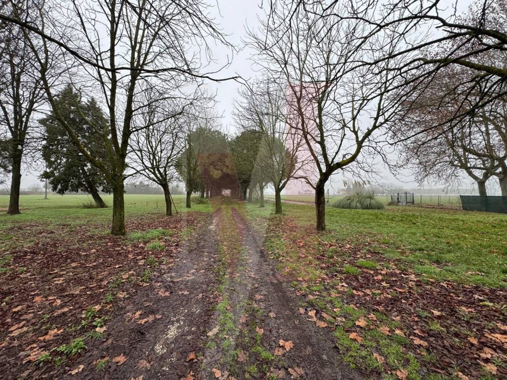 Casa indipendente a Budrio in Via Pianella - Foto 3